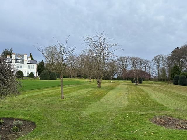 grass-cutting (1)-kireth-ai-2